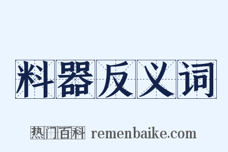 料器反义词是什么意思的图片